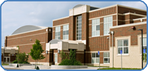School Partnerships