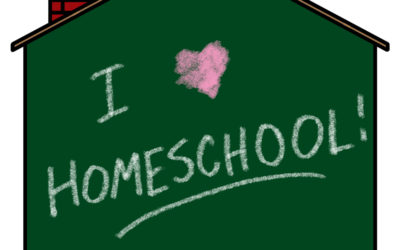 Why I Homeschool
