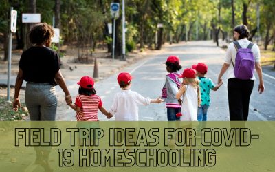 Field Trip Ideas for COVID-19 Homeschooling