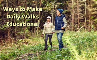 Ways to Make Daily Walks Educational