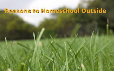 Reasons to Homeschool Outside