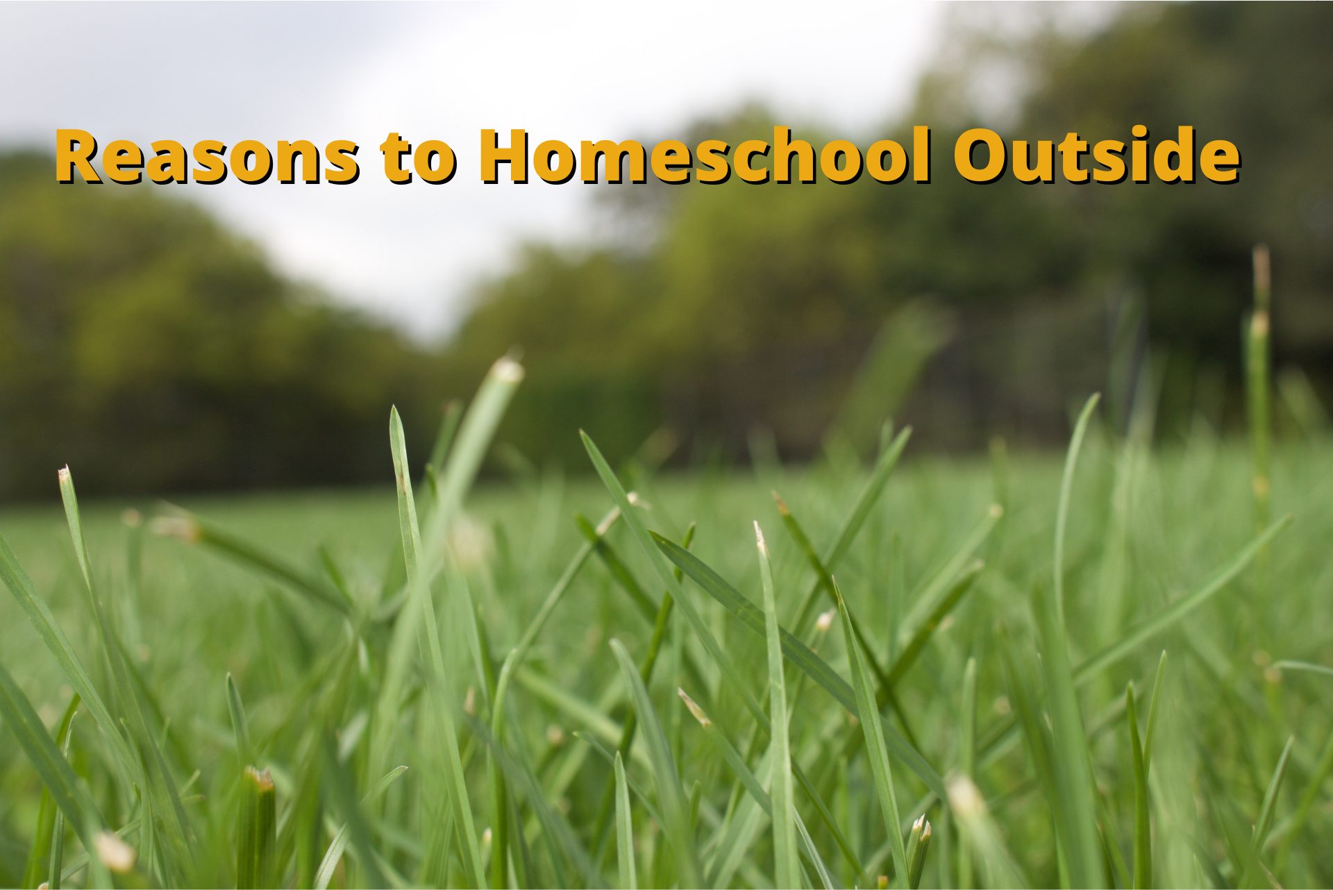 Reasons to Homeschool Outside - Global Student Network
