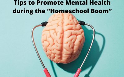 Tips to Promote Mental Health during the “Homeschool Boom”