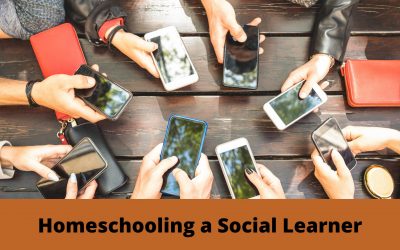 Homeschooling a Social Learner