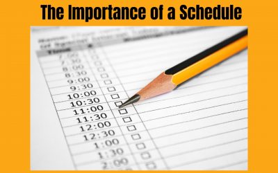 The Importance of a Schedule