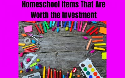 Homeschool Items That Are Worth the Investment