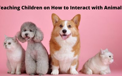 Teaching Children on How to Interact with Animals