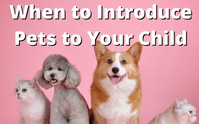When to Introduce Pets to Your Child