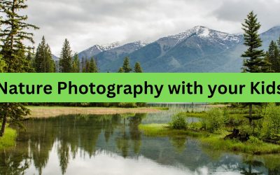 Nature Photography with your Kids