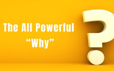 The All Powerful “Why”